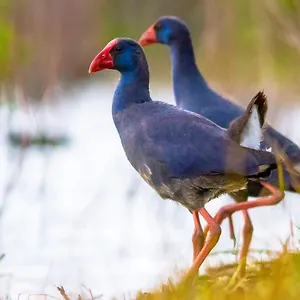 Apartamento Casa De Pájaros